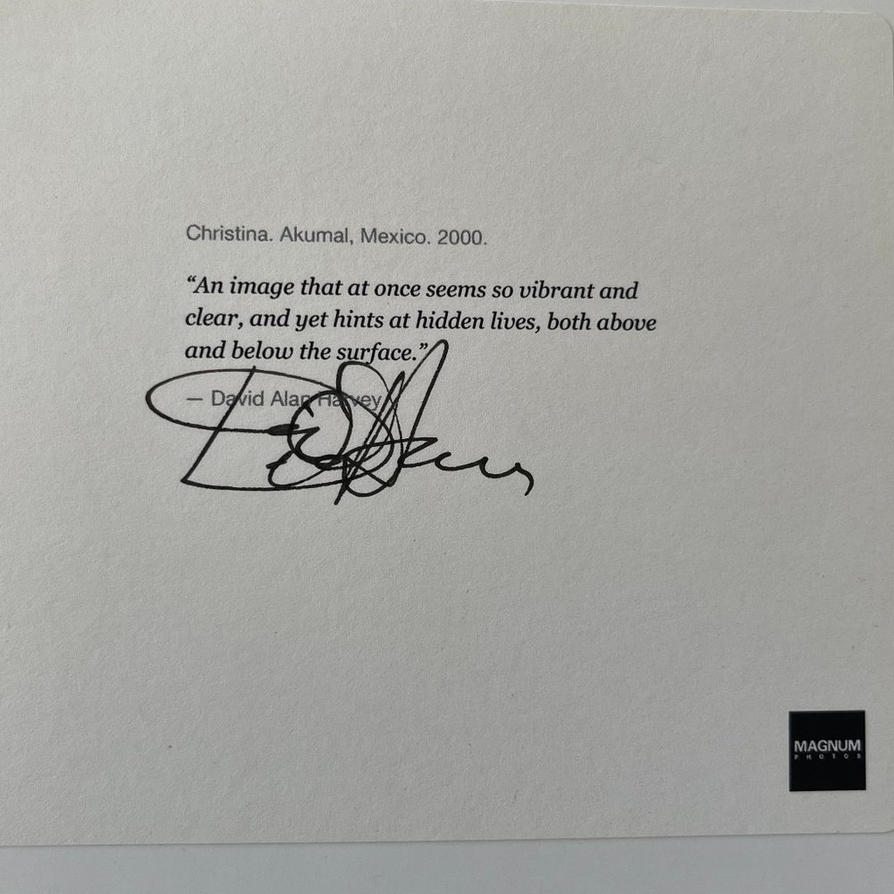 Magnum, David Alan Harvey signed photo print, 6x6 - Picture 2 of 2